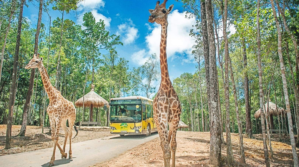 Vinpearl Safari Hạ Long – Một làn gió mới cho ngành du lịch Quảng Ninh