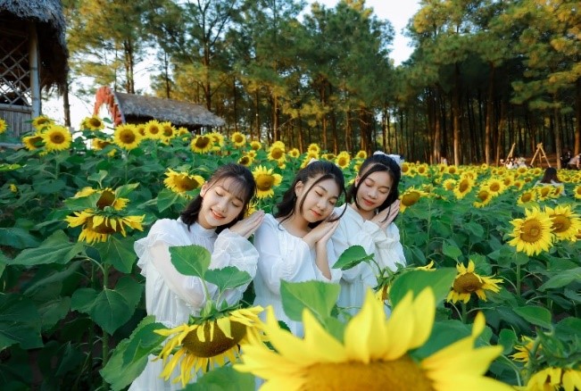Rực rỡ thiên đường hoa tại Công viên hoa Yên Trung Lake – Uông Bí