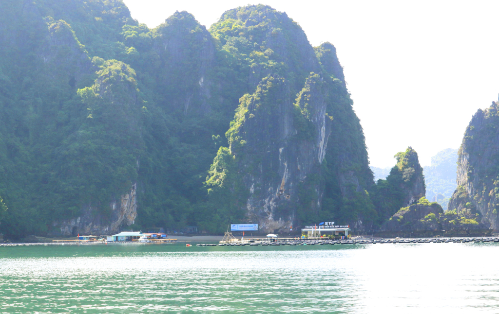 Quảng Ninh: Đảo Phất Cờ và “vườn nổi” trên biển